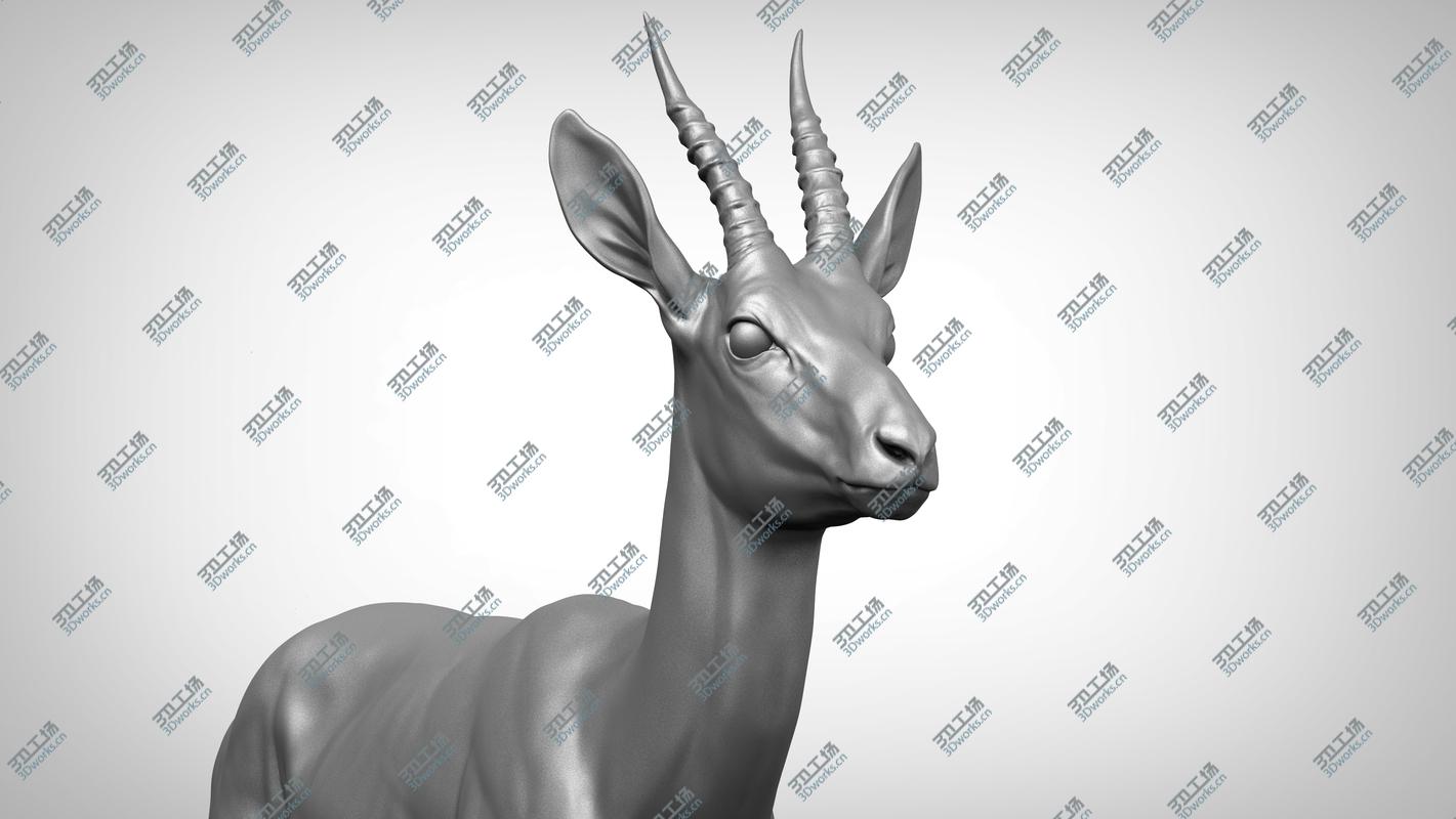 images/goods_img/202105071/3D Gazelle antelope  Gazella model/3.jpg